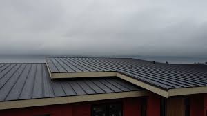 Best Commercial Roofing Services  in Mesquite, TX